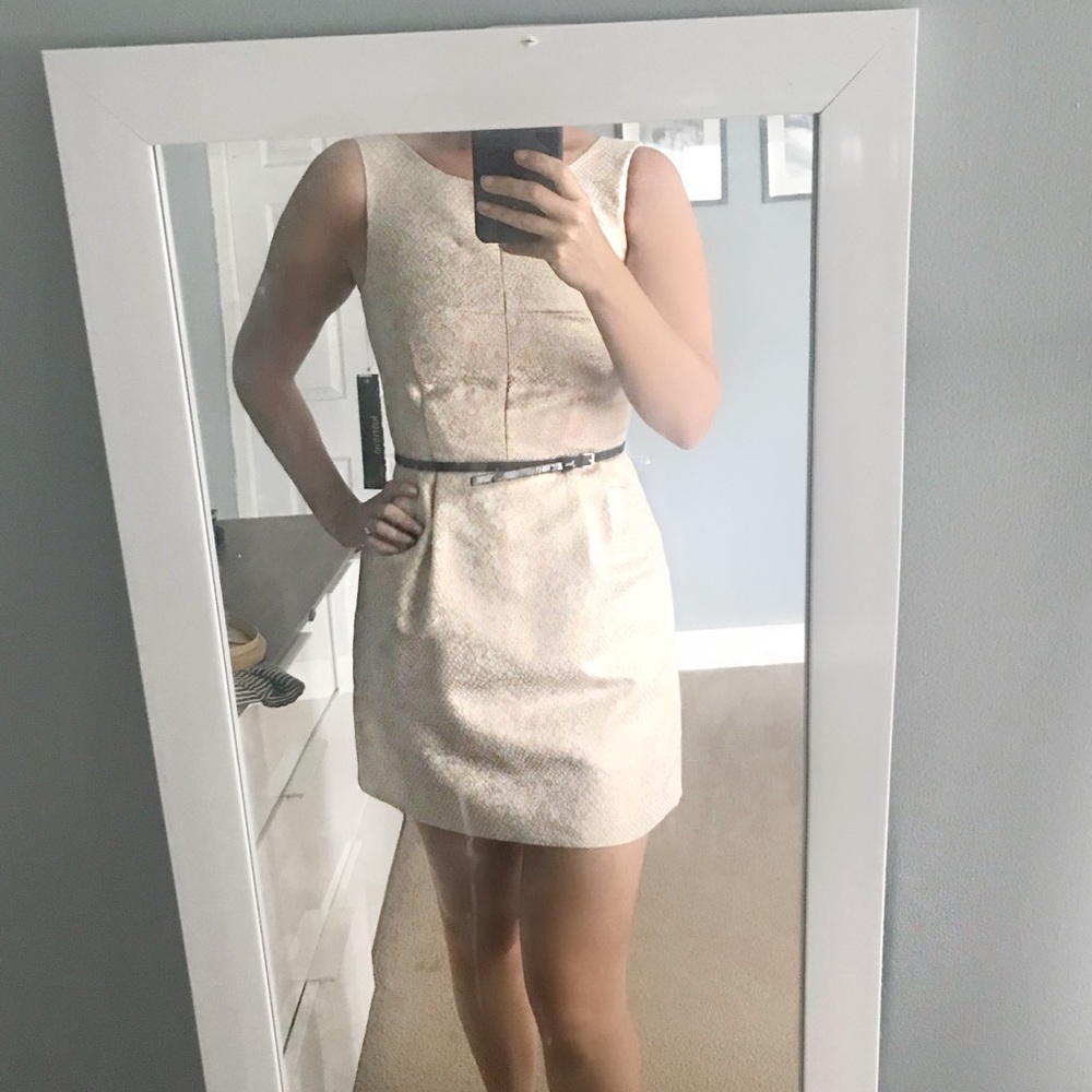 Kensie Dress with Black Belt